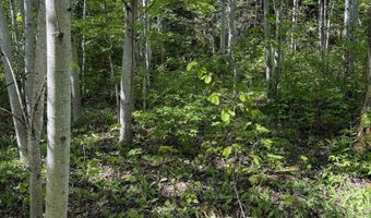 Gratiot River Road lot A, Allouez, MI 49805