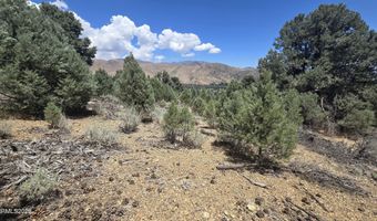 1548 Moss Cir, Gardnerville, NV 89410