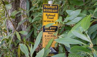 1557 Shoal Creek Rd, Balsam Grove, NC 28708