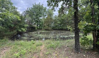 3968 HWY 167, Ash Flat, AR 72513