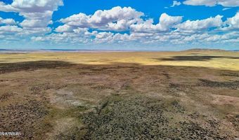 Co Rd N7012 40 Acres, Chambers, AZ 86502