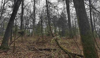 67 Old Wire Rd, Atkins, AR 72823