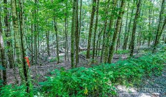 218 Old Mountain Rd, Banner Elk, NC 28604