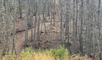 Lime Plant Road lot 6, Appomattox, VA 24522
