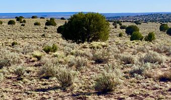 River Meadows Ranch Unit 3 Lot 204, Concho, AZ 85924