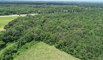 Pine Lodge Road, Batesville, MS 38606