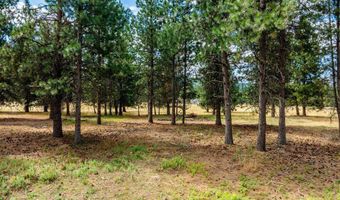 Nka Bunco Lot 3, Athol, ID 83801