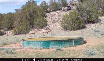 001 CR 40.2, Branson, CO 81027