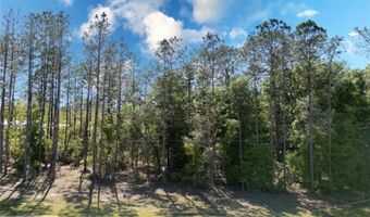 0 NE 101ST Ter, Archer, FL 32618