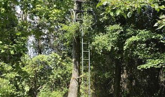 00 Honeysuckle Rd, Bald Knob, AR 72010