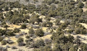 County Road 2550, Aztec, NM 87410
