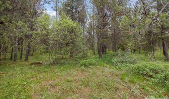 1537 Shadow Run, Ashton, ID 83420
