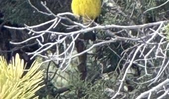 370 E Foothill Cir, Central, UT 84722