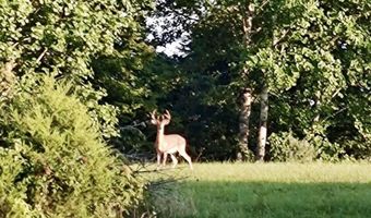 1235 Long Branch-Land, Beattyville, KY 41311