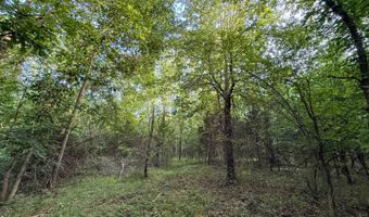 Tract 8 Highway 70, Bennington, OK 74723