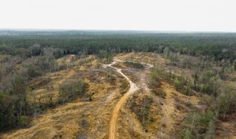 US Hwy 98, Beaumont, MS 39423