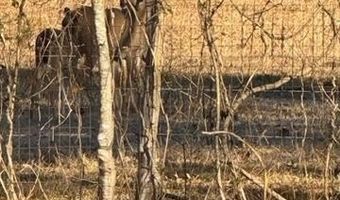 415347 E 1912 Rd, Antlers, OK 74523