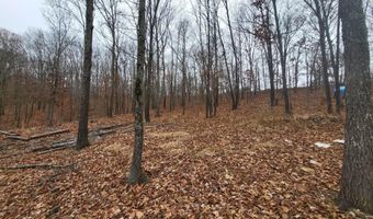 Tbd County Road East 76-211, Ava, MO 65608