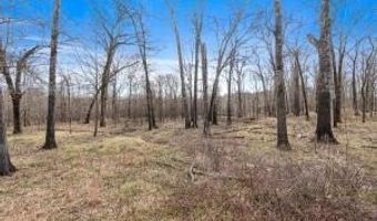 000 Hwy 105, Atkins, AR 72823