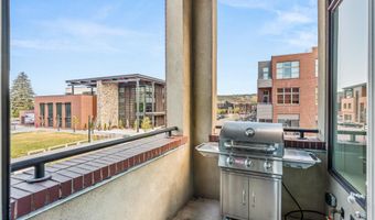 361 Robinson St 208, Basalt, CO 81621