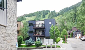 100 E DEAN St 2C, Aspen, CO 81611
