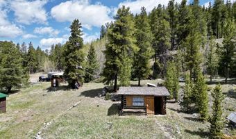 103 Main St, Almont, CO 81210