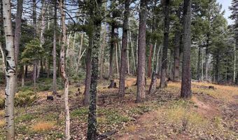 Vermejo Cir lot 15, Angel Fire, NM 87710
