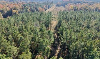 TBD Binnicker Bridge Road, Bamberg, SC 29003