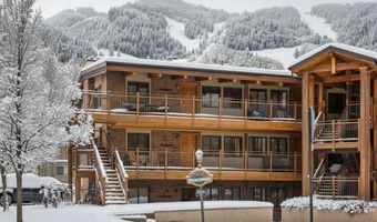 835 E Hyman Ave D, Aspen, CO 81611