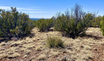 74 County Road 8056, Concho, AZ 85924