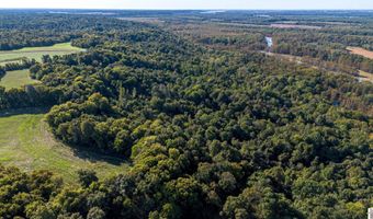 000 County Road 1320 BETWEEN COUNTY ROADS 1324 AND 1320, Bardwell, KY 42023