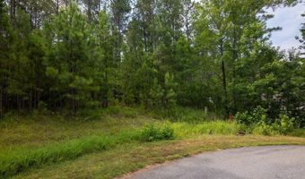 Lot 113 Dock Side Lane, Lincolnton, GA 30817