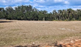 643 FAZZINI Rd, Babson Park, FL 33827