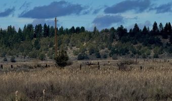 27111 Godowa Springs Rd, Beatty, OR 97621