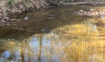 Julius Bridge Road, Ball Ground, GA 30107