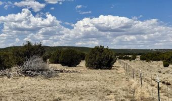 17 County Road N8034, Concho, AZ 85924