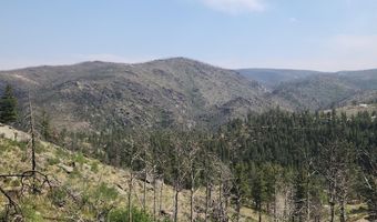 693 Cougar Dr, Bellvue, CO 80512