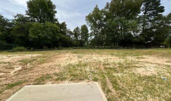 327 White Birch Ln, Angier, NC 27501