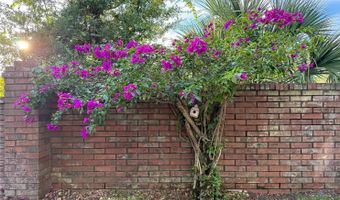 9800 MONTCLAIR Cir, Apopka, FL 32703