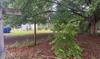 147 Doctors Point Rd, Abbeville, AL 36310