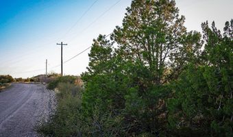 1086 Juniper, Alpine, TX 79830