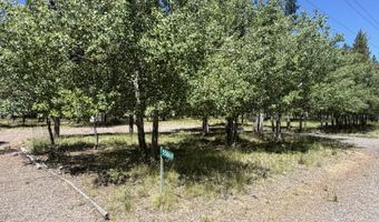 55869 BLACK DUCK Rd, Bend, OR 97707