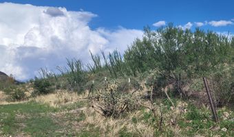 Tbd 4.3 Ac Adsit Street 10113041C -LOT 3, Bisbee, AZ 85603