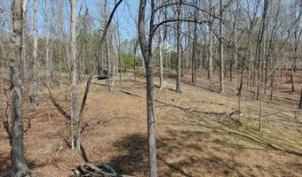 918 Purvis Rd, Baldwin, GA 30511