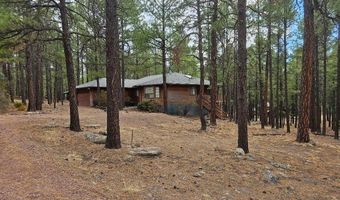 3 County Road 2089, Alpine, AZ 85920