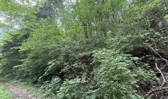 5 Lots Fortunato Dr, Baneberry, TN 37890