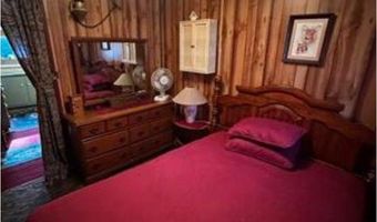 6002 Wildwood, Alger, MI 48610