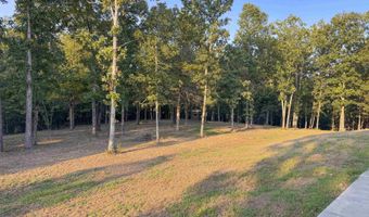 607 Odom Point Rd, Bee Branch, AR 72013