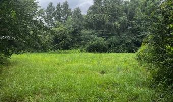 10664 Burton's Ferry Rd, Allendale, SC 29810