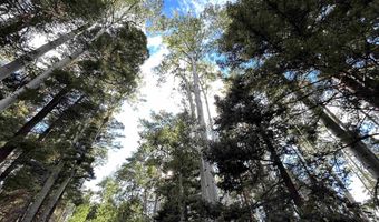 2 Back Basin Rd, Angel Fire, NM 87710